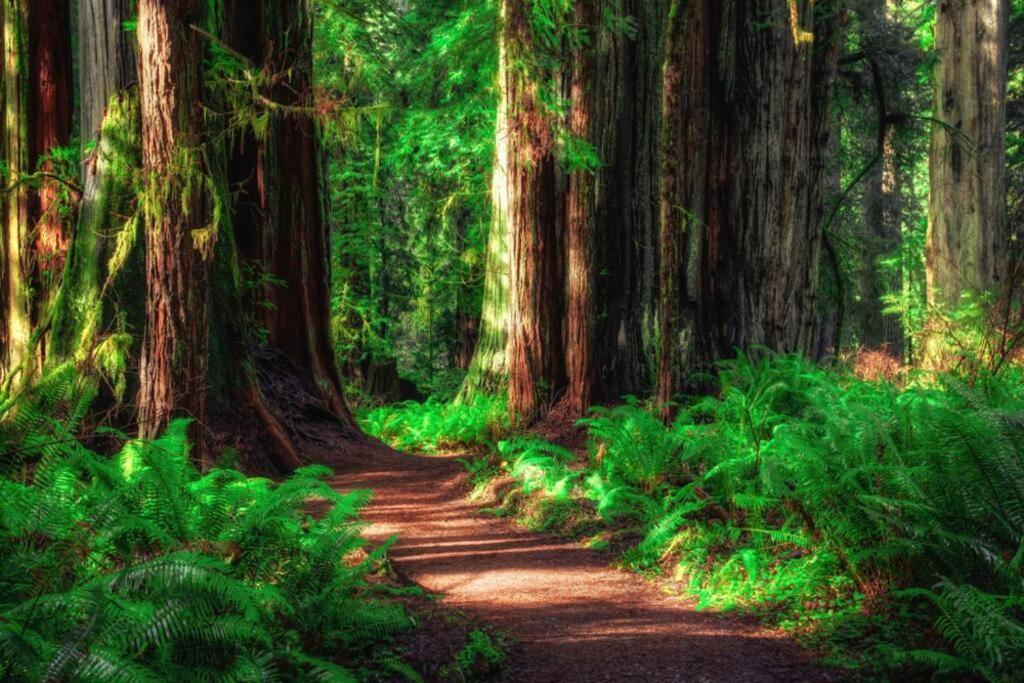 Bear Mountain - Suite 5 Grants Pass Esterno foto